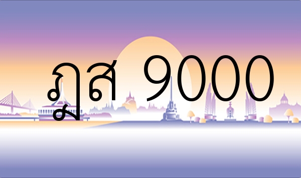 ฎส 9000